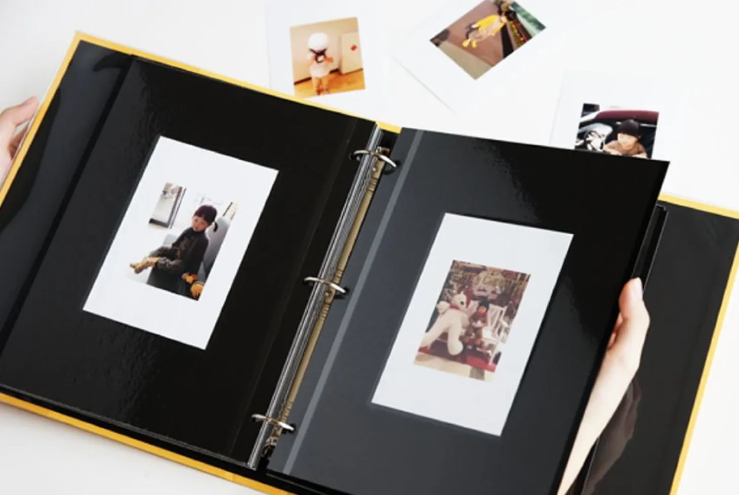 Colorful 3 Ring Binder