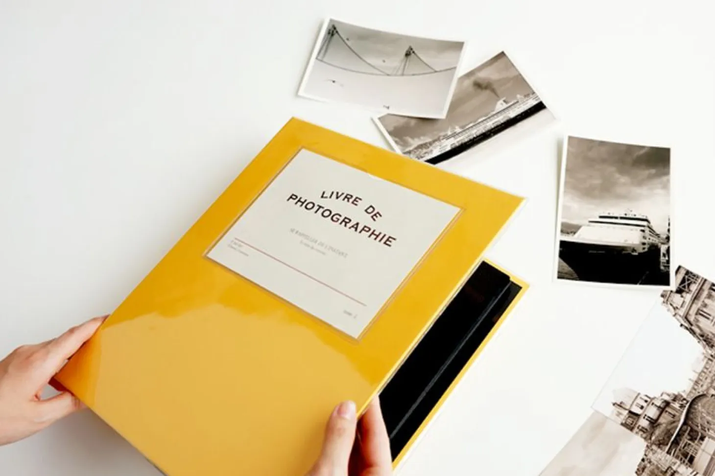 Colorful 3 Ring Binder