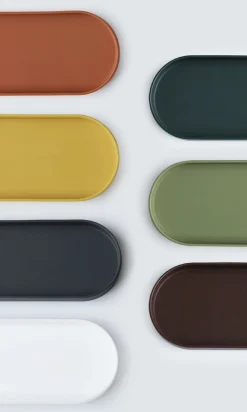 Colorful Silicone Tray