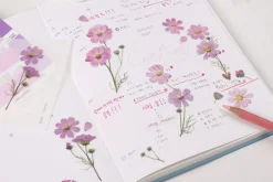 Cosmos Pressed Flower Sticker