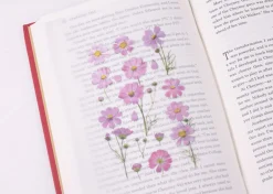 Cosmos Pressed Flower Sticker