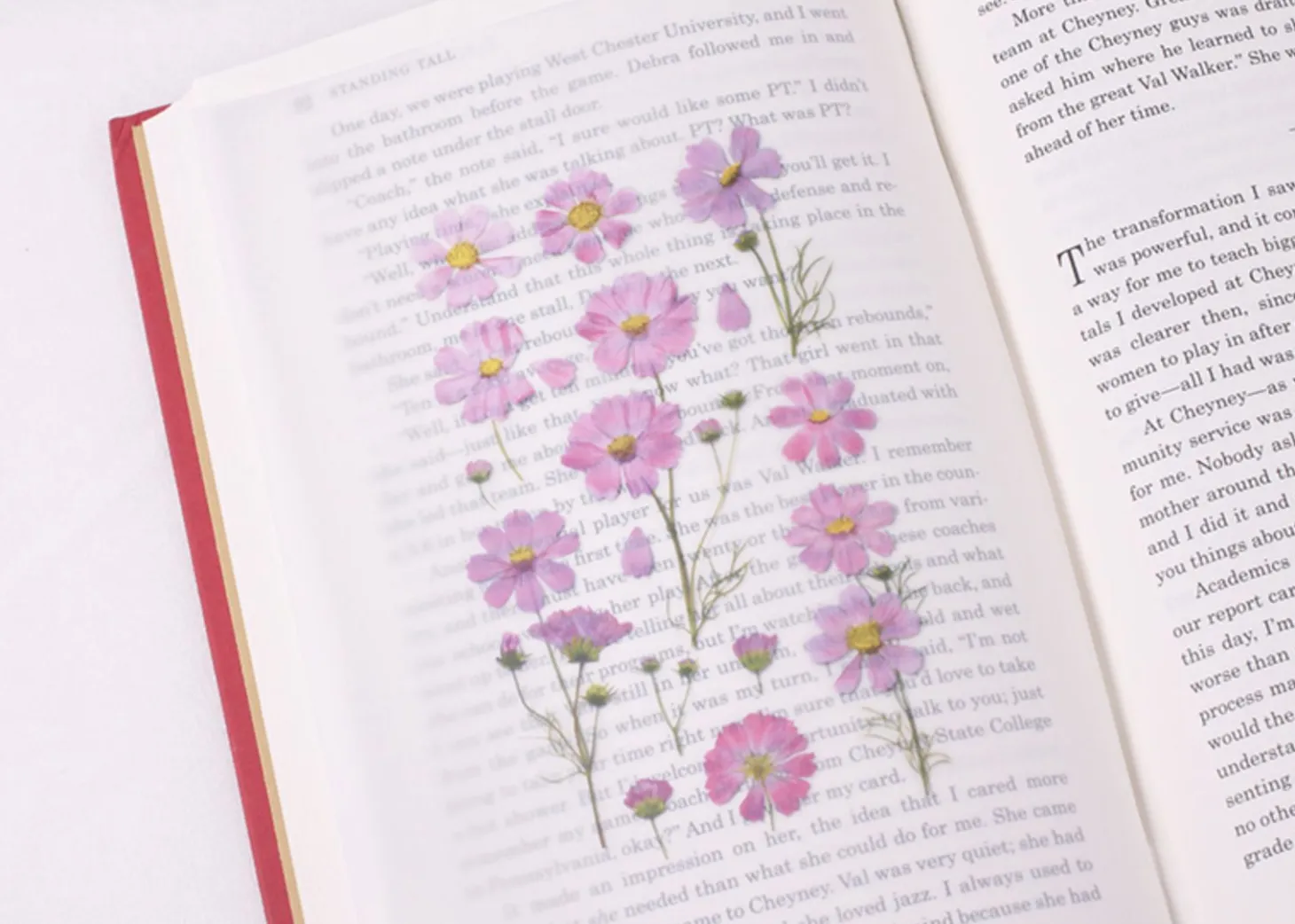 Cosmos Pressed Flower Sticker