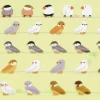 Curious Bird Paper Deco Sticker
