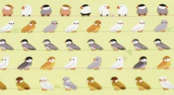 Curious Bird Paper Deco Sticker