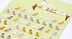 Curious Bird Paper Deco Sticker
