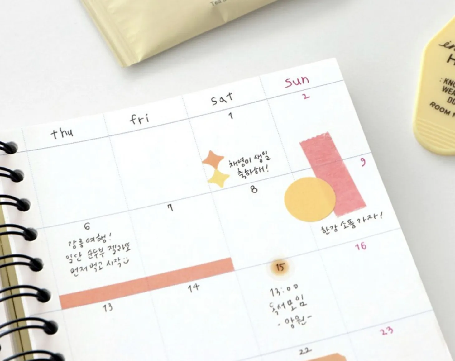 Daily Archive Spiral Notebook