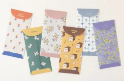 Dailylike Gift Envelope Set