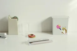 Dailylike Removable Sticker