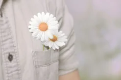 Daisy Sticky Note