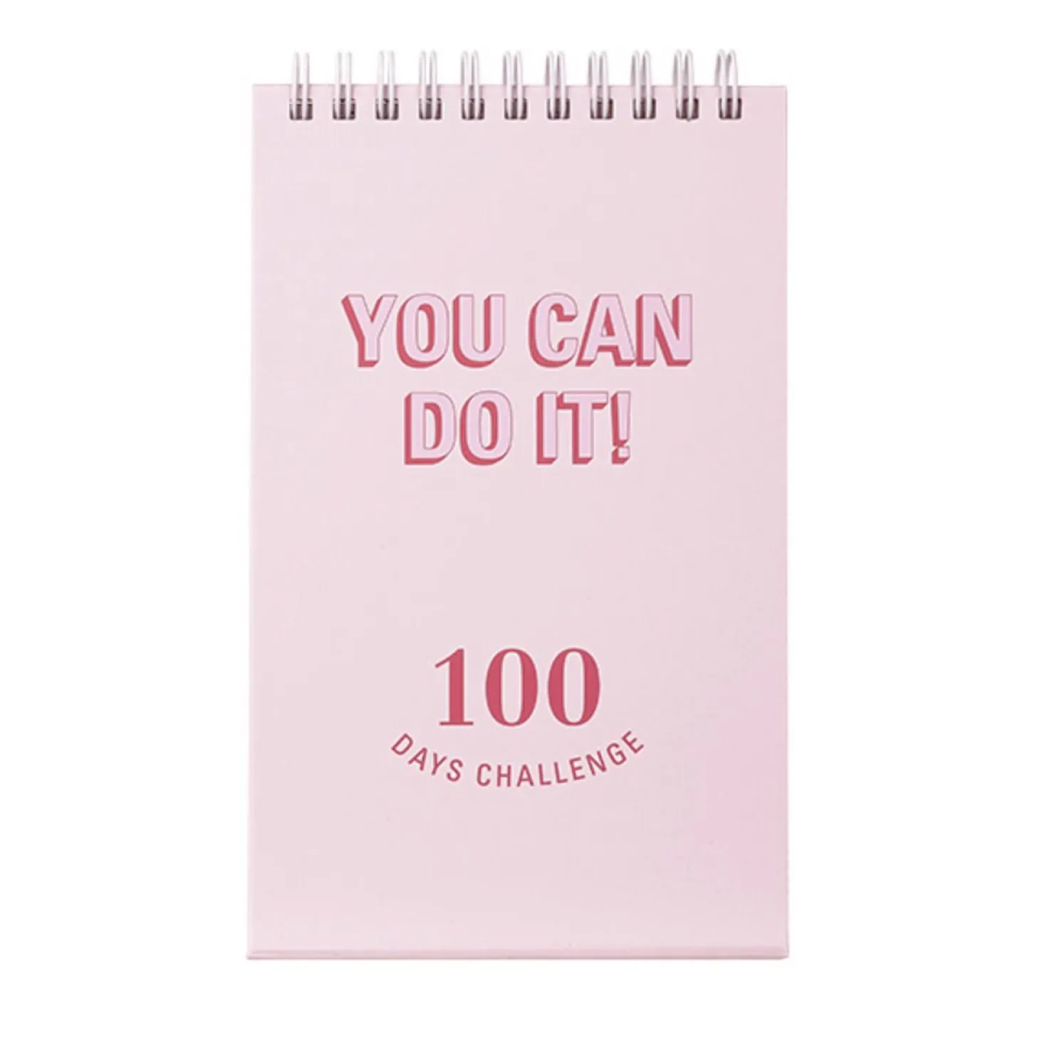 100 Days Challenge Desk Planner