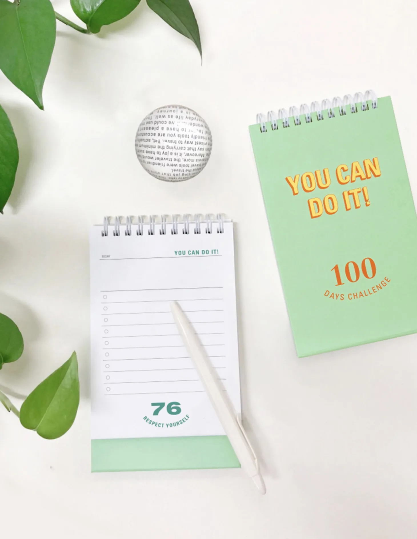 100 Days Challenge Desk Planner
