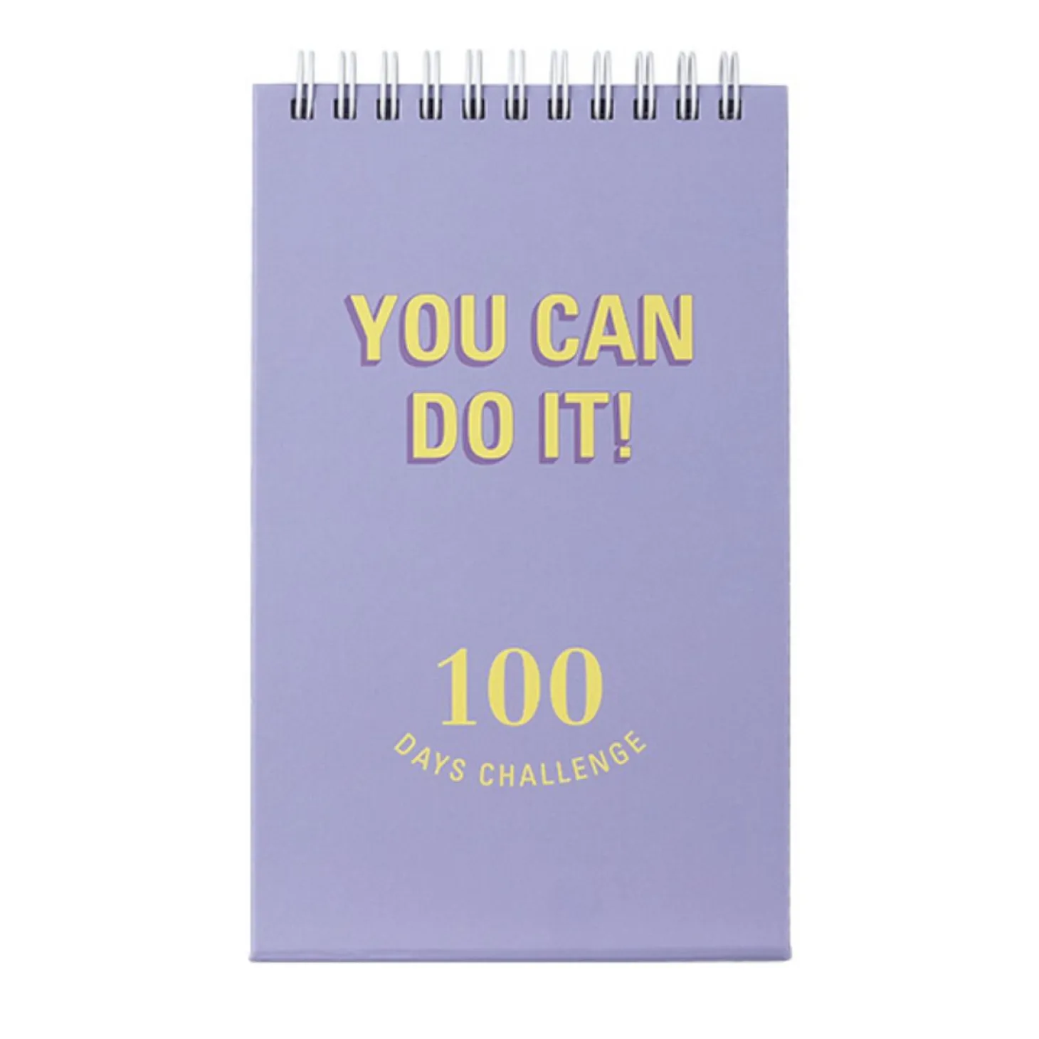 100 Days Challenge Desk Planner