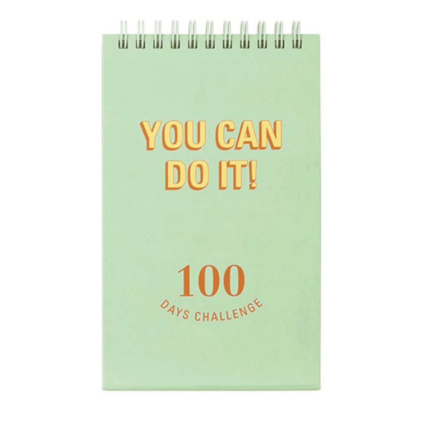 100 Days Challenge Desk Planner