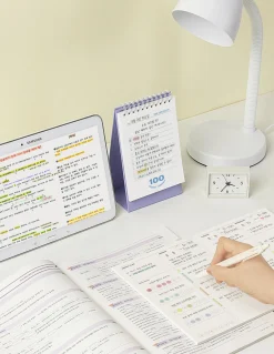 100 Days Challenge Desk Planner