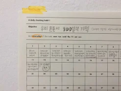 100 Days Goal Planning Sheet