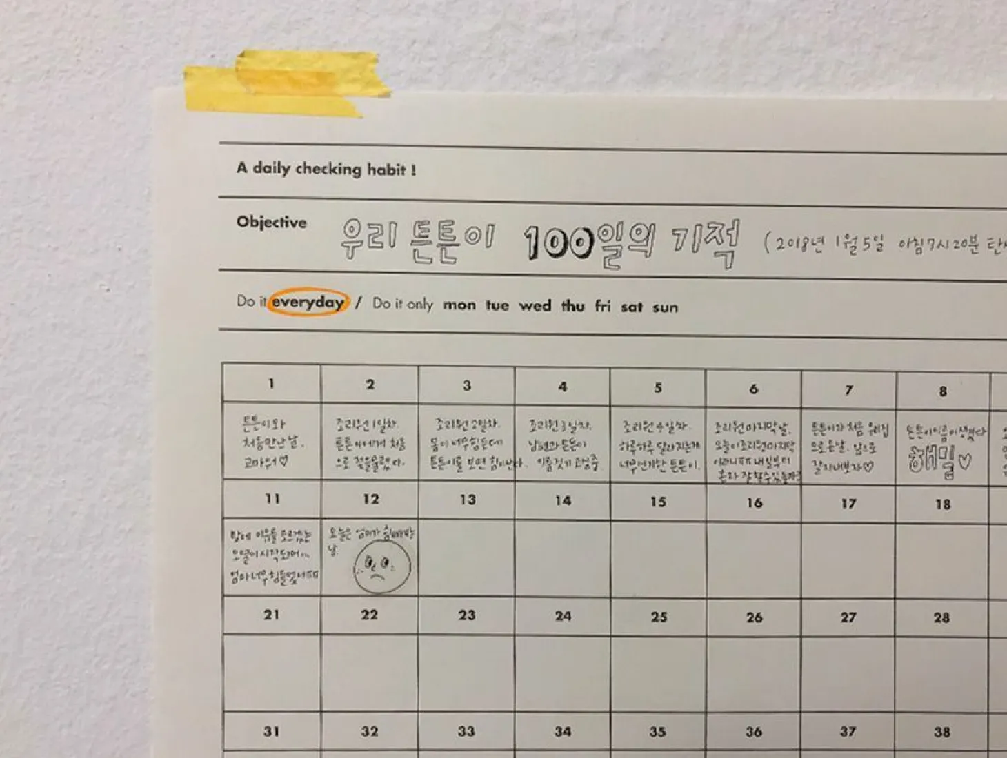 100 Days Goal Planning Sheet