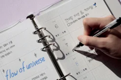 Deco Pocket 6 Ring A5 Planner Refill