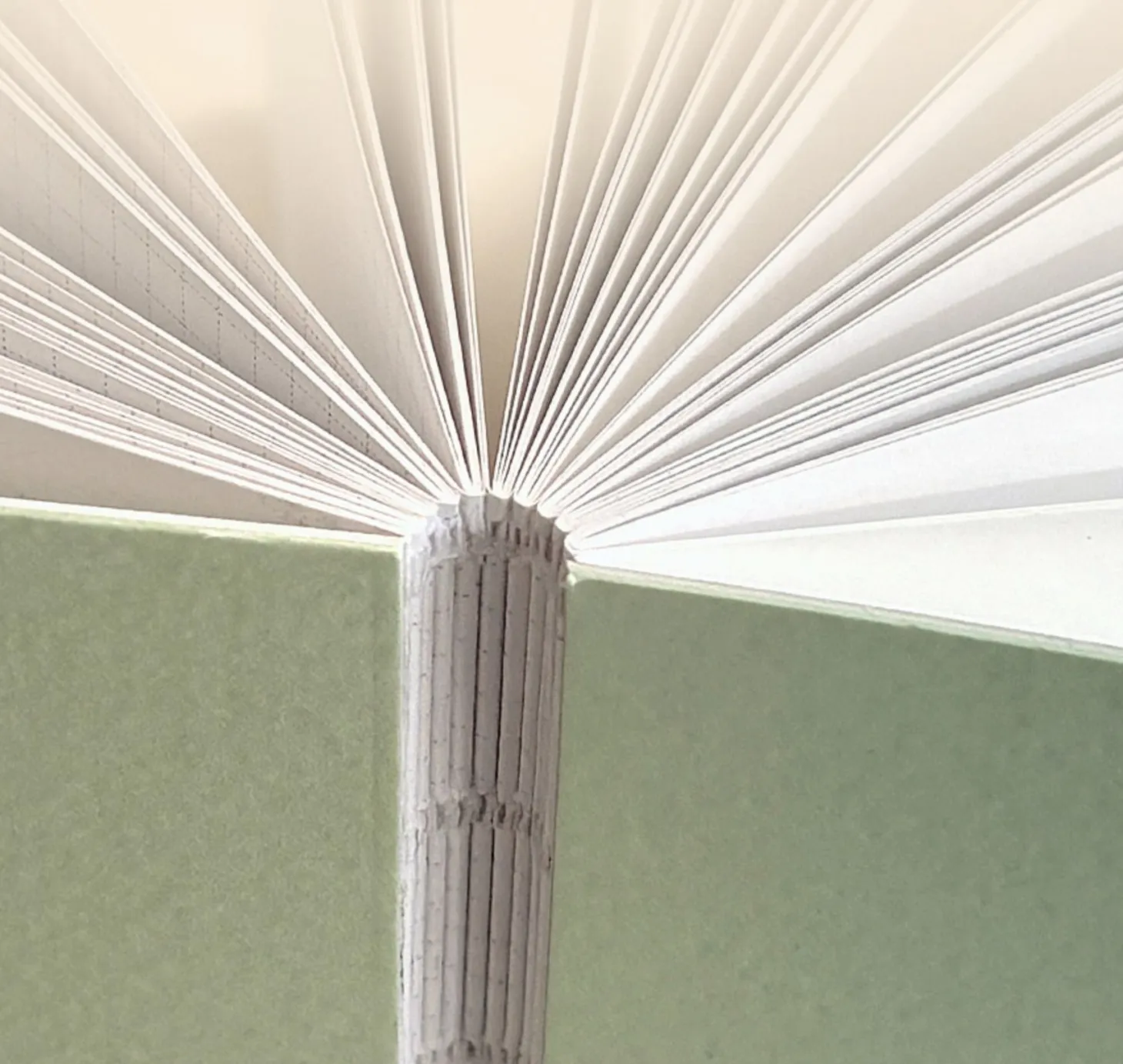 Delight Log Mini Notebook