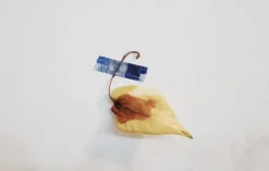 Denim Patchwork Masking Tape