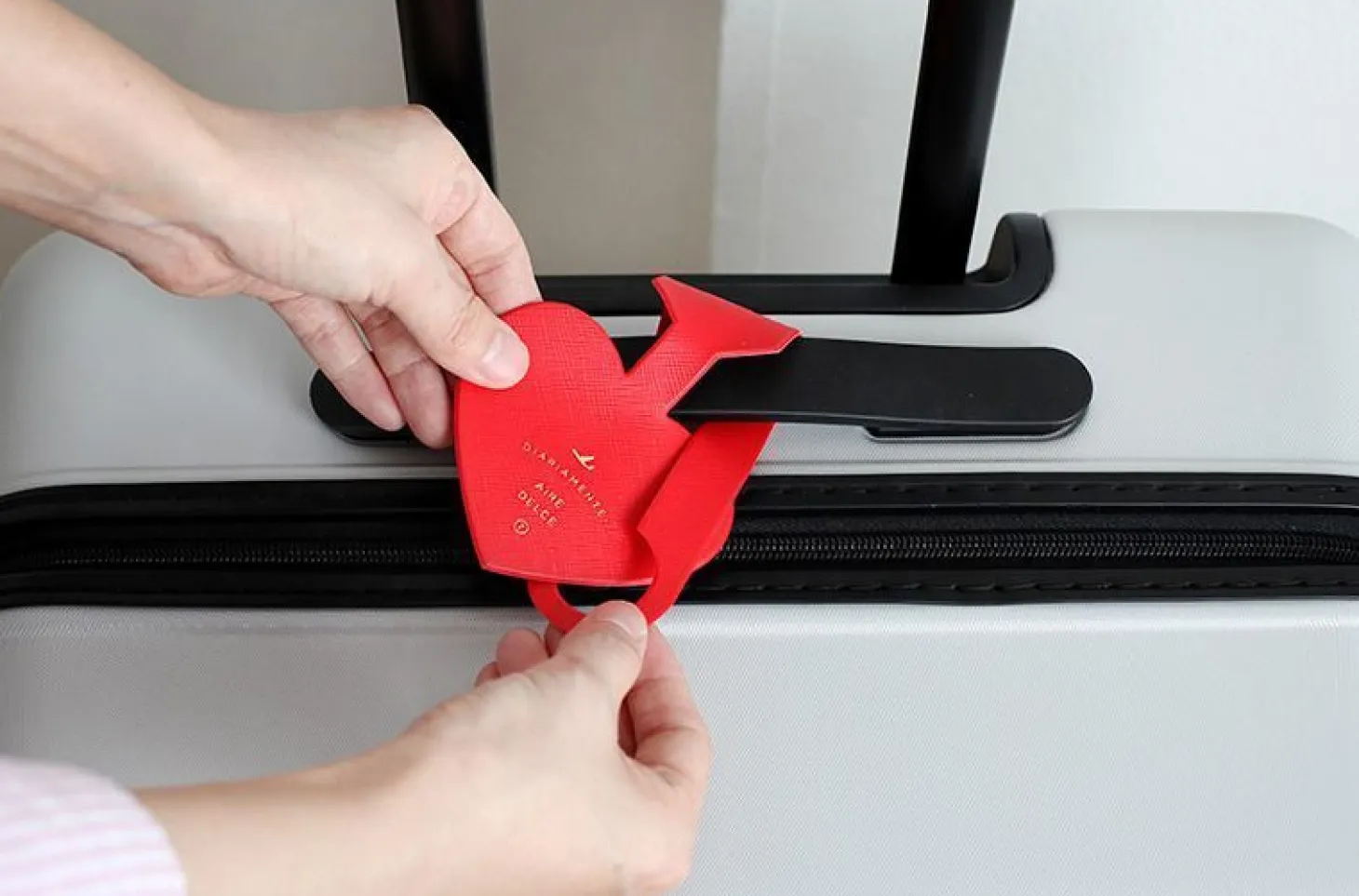 Diariamente Luggage Tag