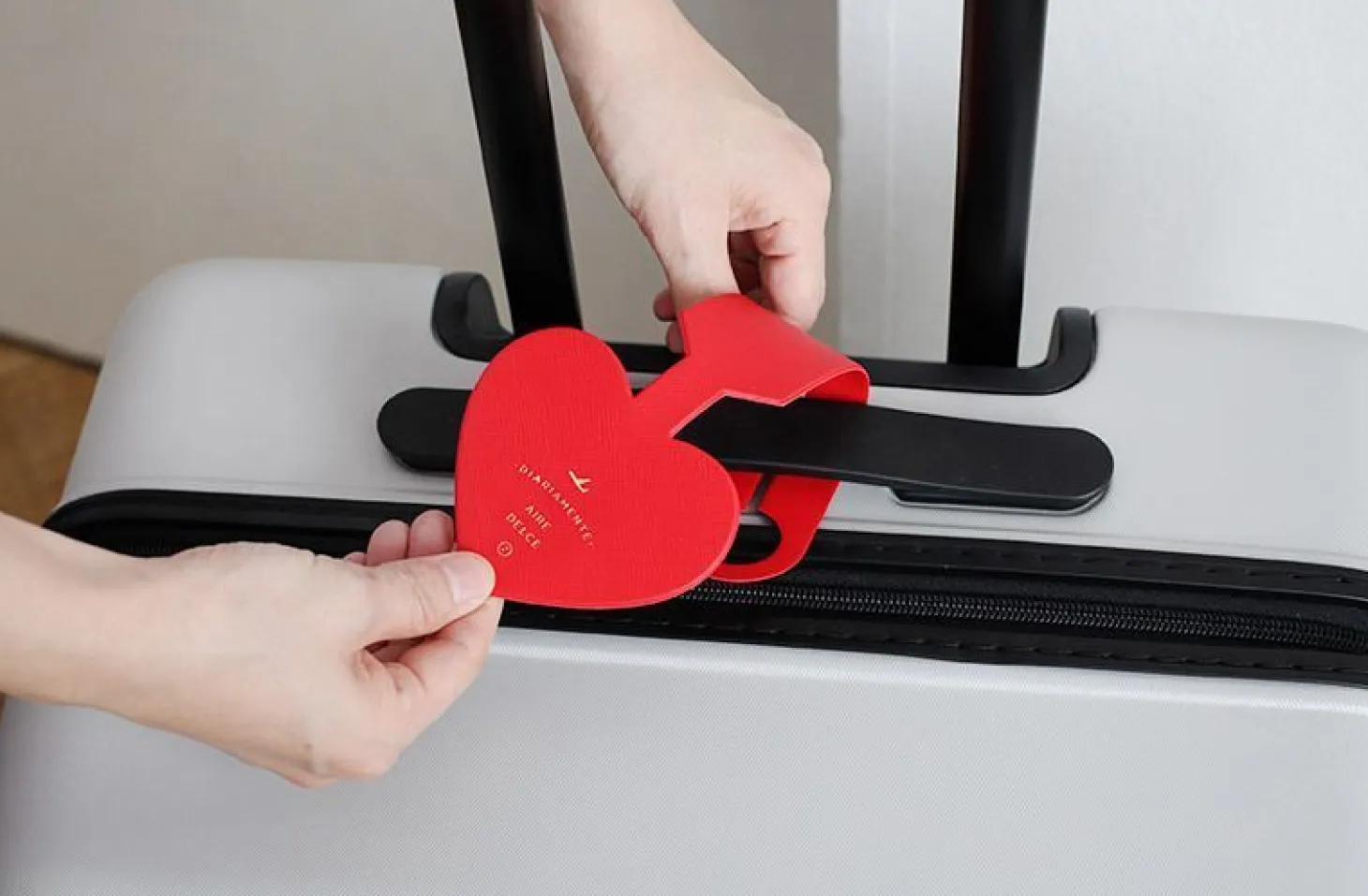 Diariamente Luggage Tag