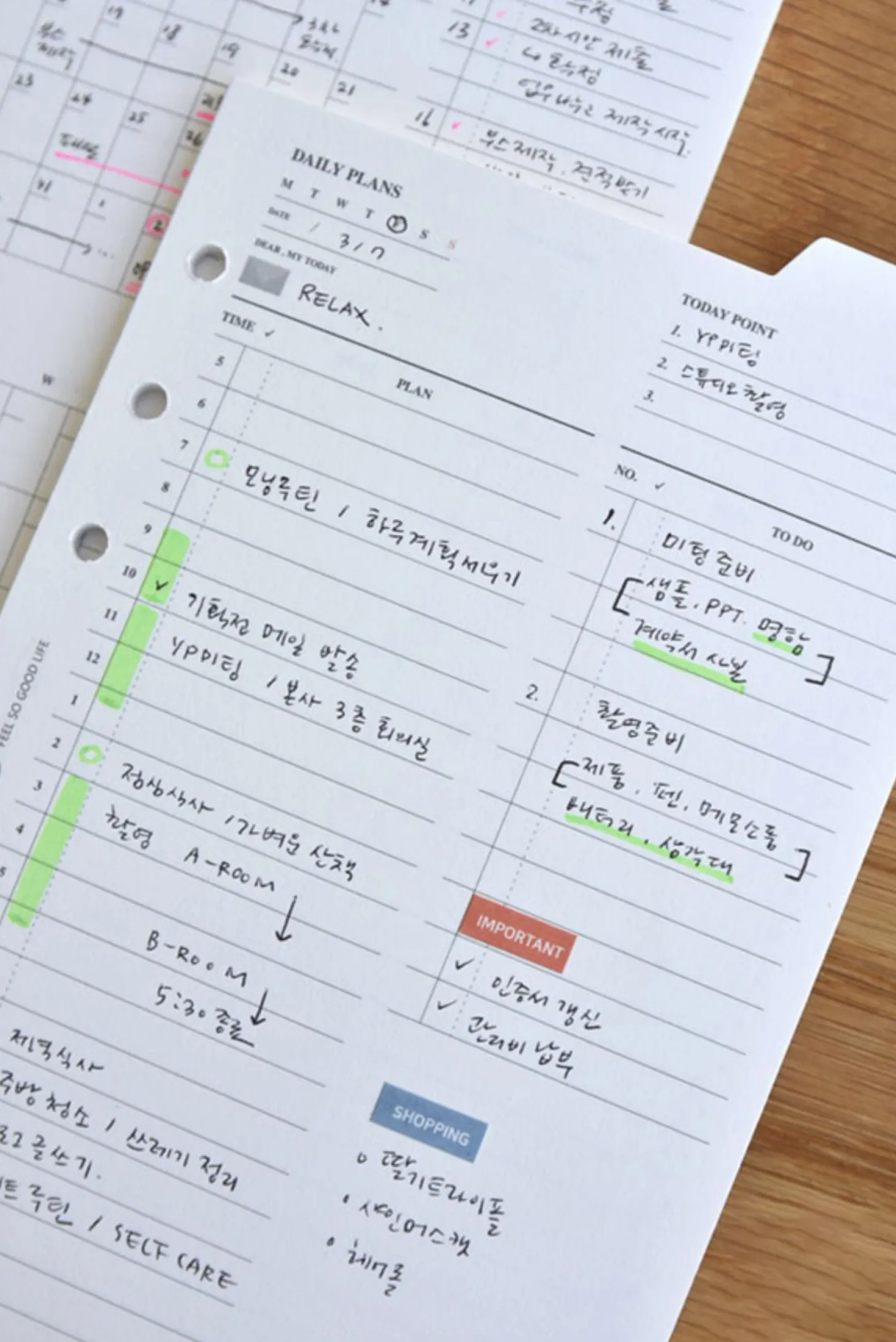 Double-sided Classy 6 Ring A6 Index Planner Refill v1