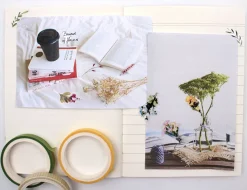 Dry Flower Petit Deco Sticker