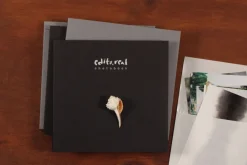 Editorial 4x6 Photo Story Album