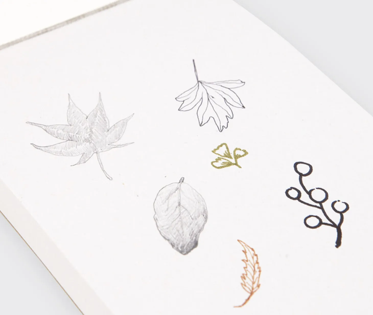 Elemental Drawing Book v2
