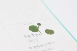 Eucalyptus Pressed Flower Sticker