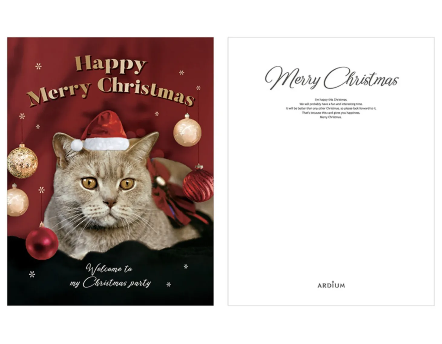 Everybody's Christmas Card