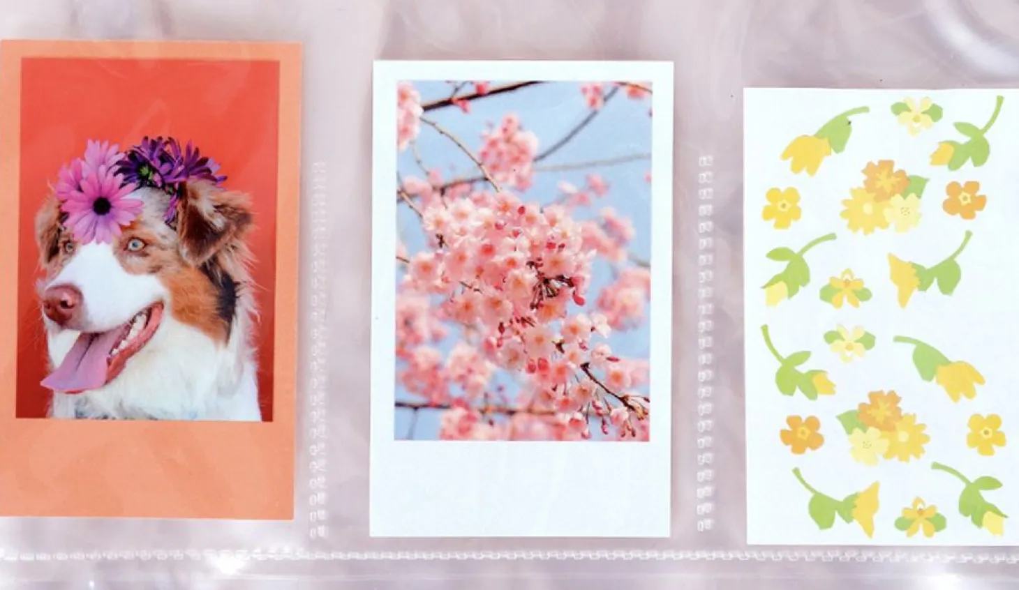 Extra Large 3 Ring A4 Photo Pocket Refill