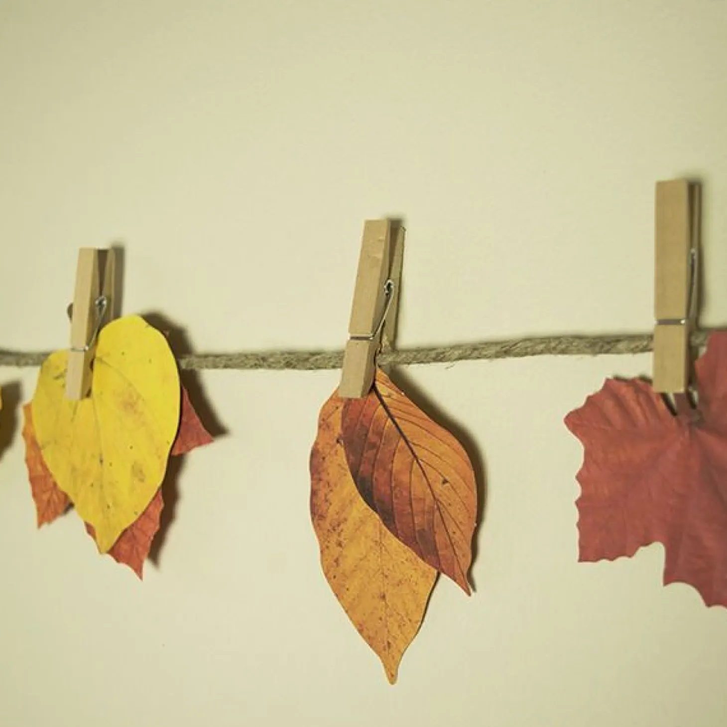 Fall Leaves Wall Deco Set