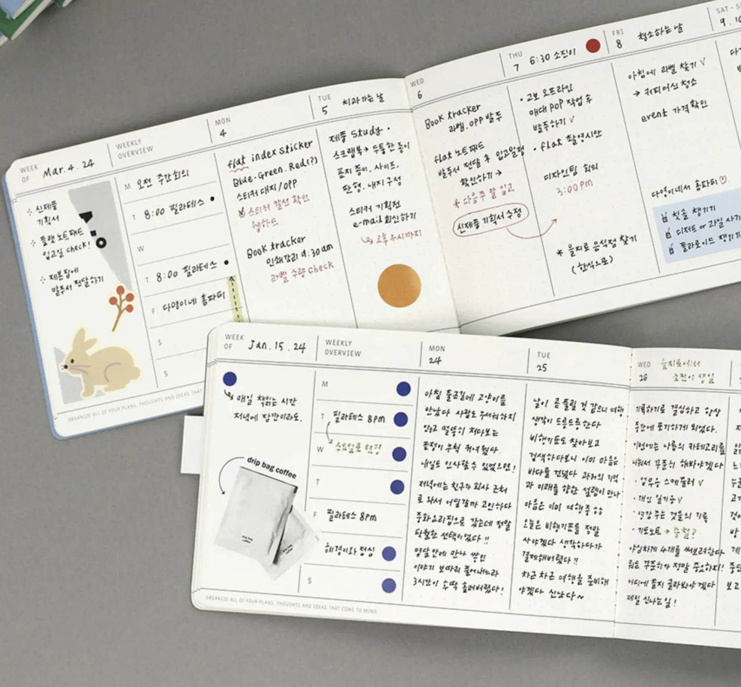 Flat Semi Year Weekly Pocket Scheduler