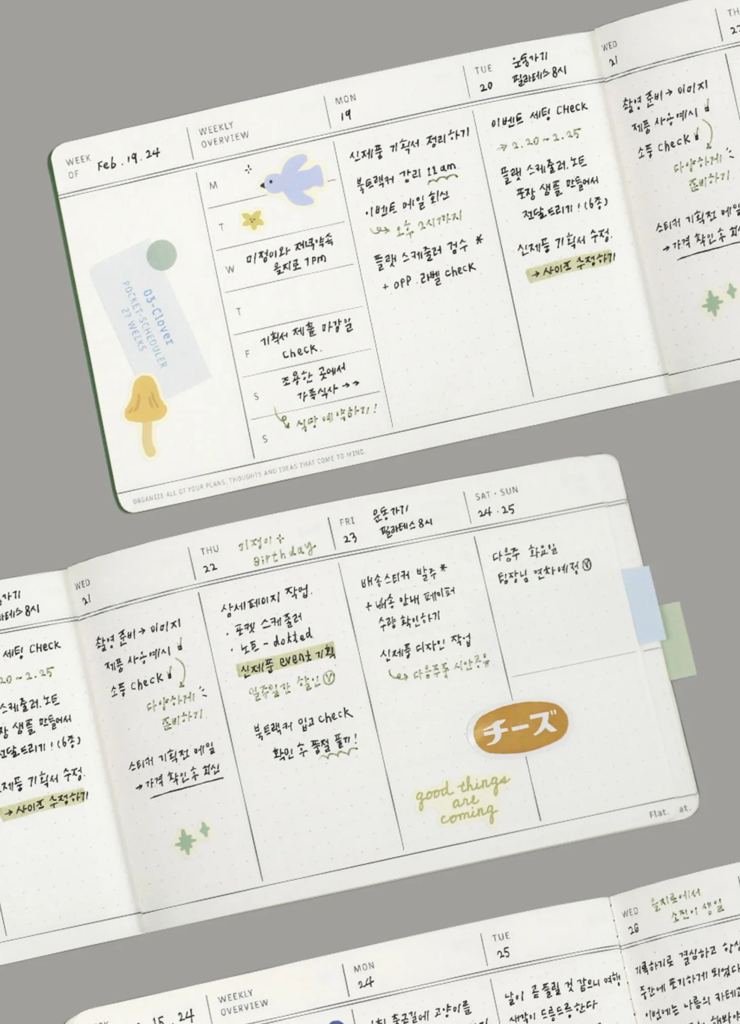 Flat Semi Year Weekly Pocket Scheduler