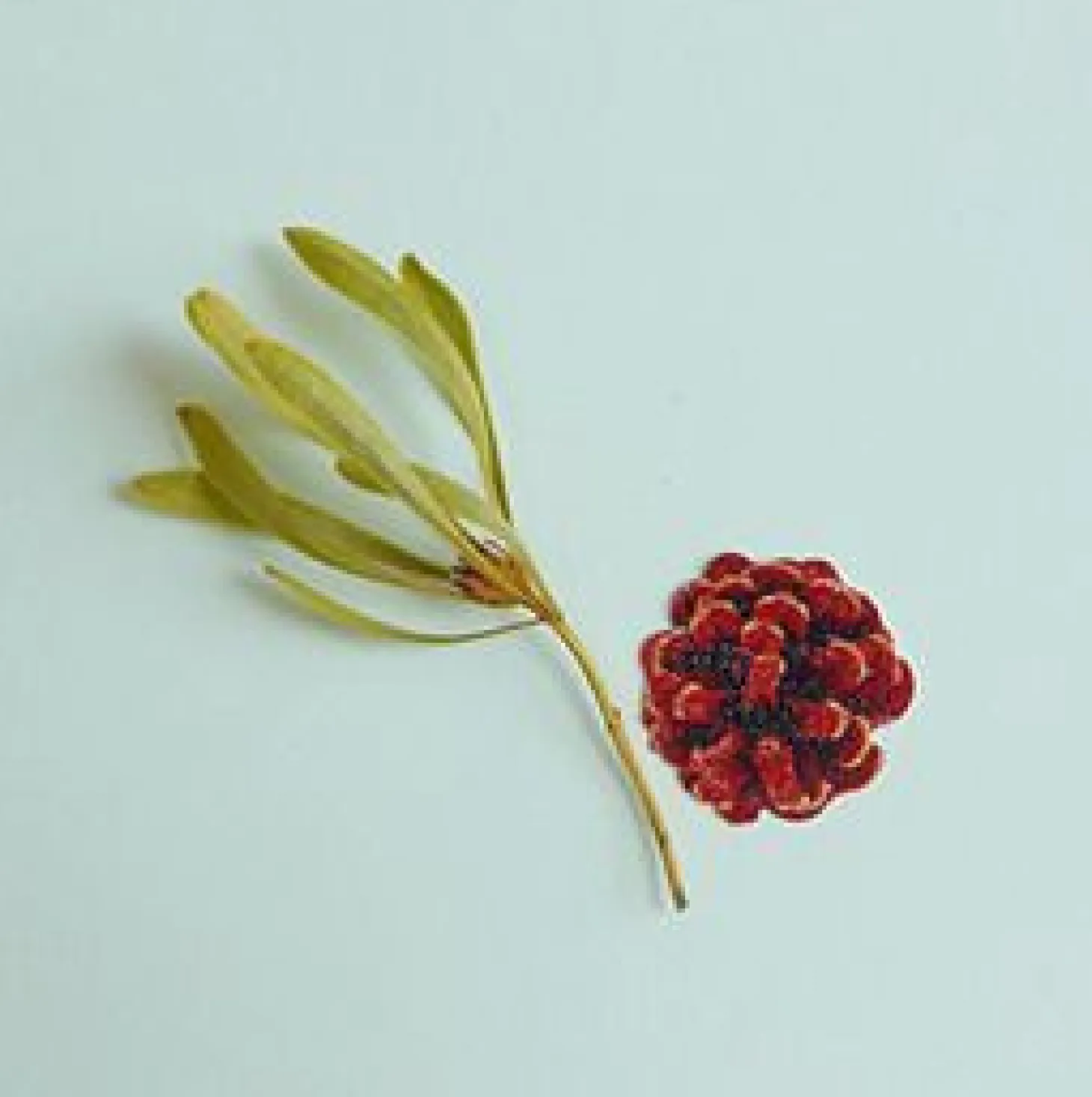 Flower Cotton Deco Sticker