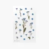 Forget Me Not Pressed Flower Sticker