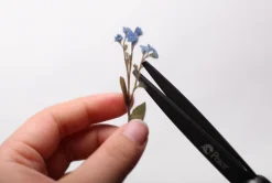 Forget Me Not Pressed Flower Sticker