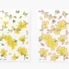 Forsythia Pressed Flower Sticker