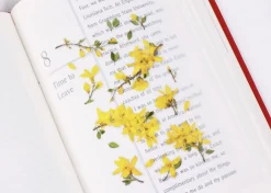 Forsythia Pressed Flower Sticker