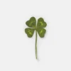 Four-leaf Clover Pressed Flower Sticker