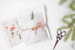 Four-leaf Clover Pressed Flower Sticker