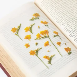 Freesia Pressed Flower Sticker