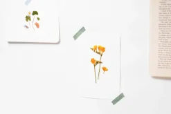Freesia Pressed Flower Sticker