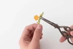 Freesia Pressed Flower Sticker