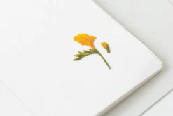 Freesia Pressed Flower Sticker