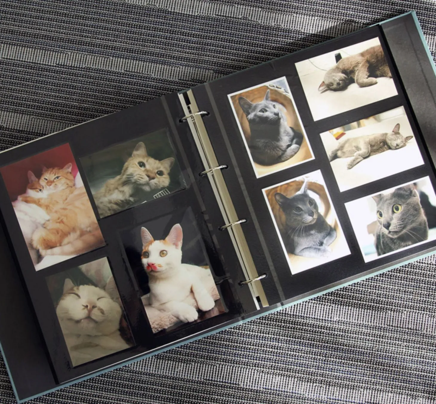 Giant Modern 4 Ring Binder Photo Album