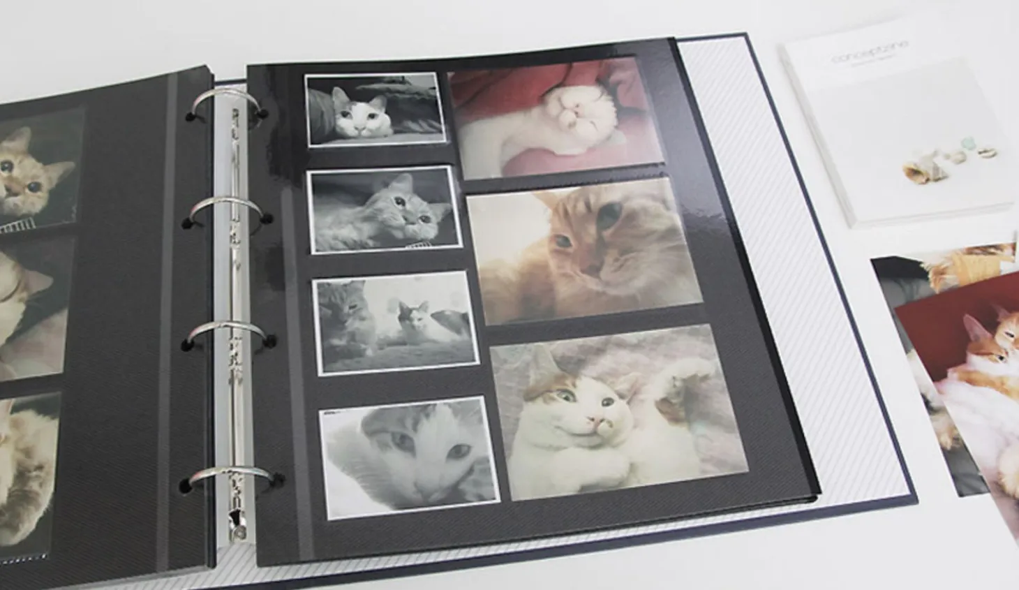 Giant Plain 4 Ring Binder Photo Album