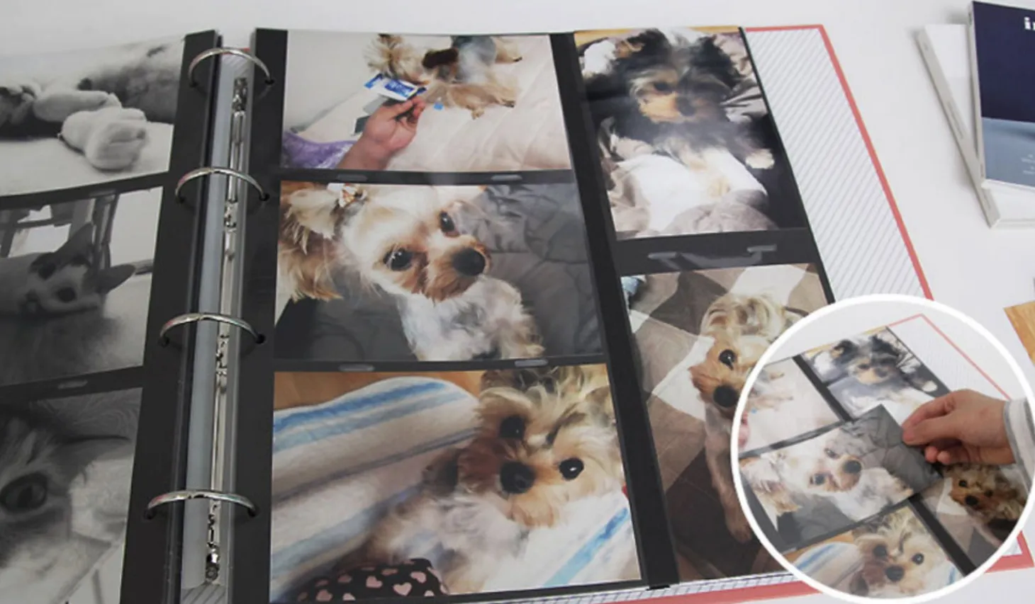 Giant 4 Ring Binder Photo Album Refill