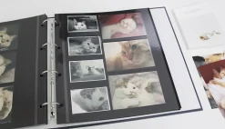 Giant 4 Ring Binder Photo Album Refill